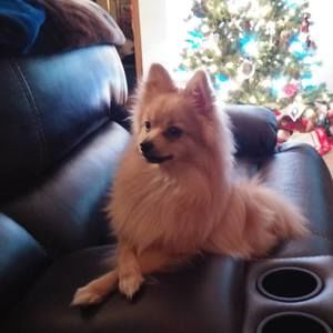 Meet your Posher, Tina